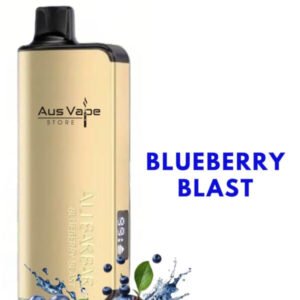 Buy ALIBARBAR INGOT – BLUEBERRY BLAST – 9000 PUFFS Near me now - OZ Vapor Store