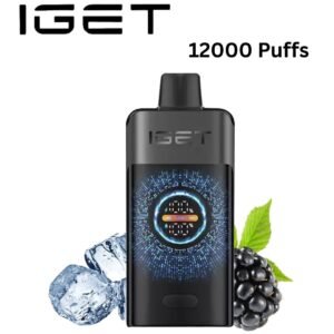 IGET ONE – BLACKBERRY ICE – 12000 PUFFS