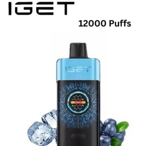 IGET ONE – BLUEBERRY ICE – 12000 PUFFS
