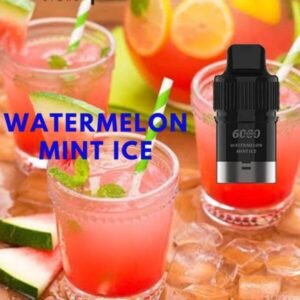 IGET BAR PLUS POD ONLY – WATERMELON MINT ICE – 6000 PUFFS