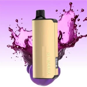 AliBarBar Ingot - Ribena - 9,000