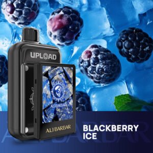 AliBarBar Upload Pod Only - Blackberry Ice - 25,000