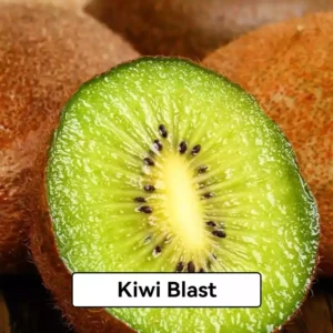 Relx Infinity Pod Gen6 2 pods pack - Kiwi Blast