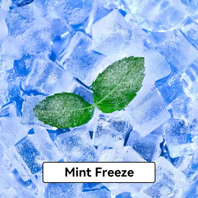 Relx Infinity Pod Gen6 2 pods pack - Mint Freeze - Oz Vapor Store Relx Infinity Pod Gen6 2 pods pack - Mint Freeze