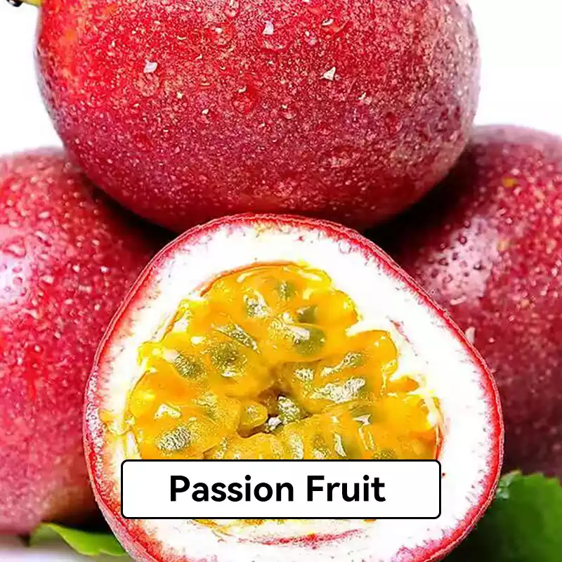 Relx Infinity Pod Gen6 2 pods pack - Passion Fruit - Oz Vapor Store Relx Infinity Pod Gen6 2 pods pack - Passion Fruit