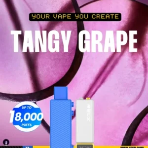 Relx Lego - Tangy Grape Pod Only - 18,000